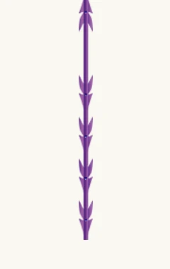 다양한 실 타입 - 02