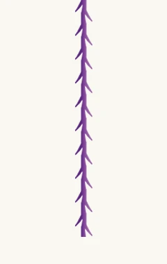 다양한 실 타입 - 05